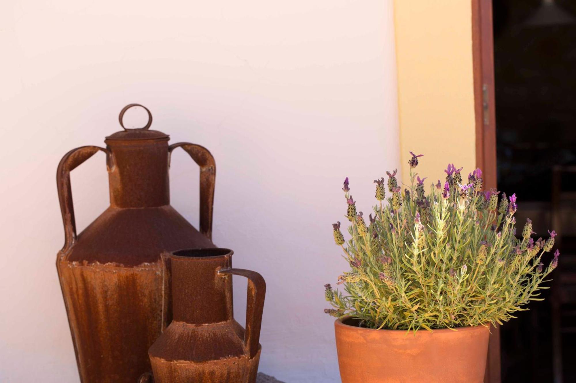 B&B Candelária Corregos de Monte Seco Kültér fotó