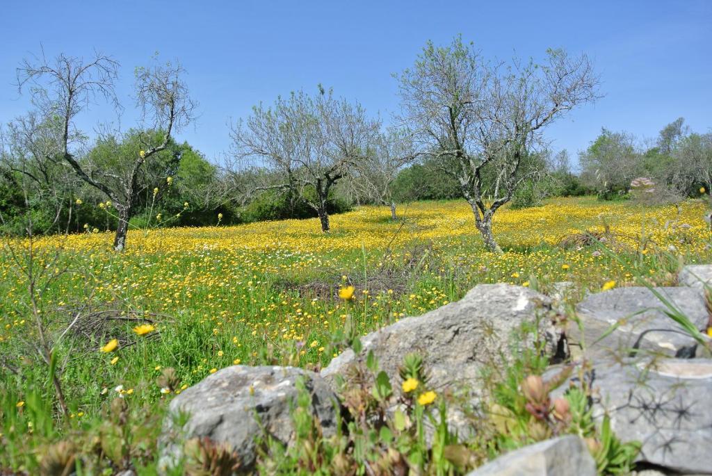 B&B Candelária Corregos de Monte Seco Kültér fotó
